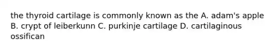 the thyroid cartilage is commonly known as the A. adam's apple B. crypt of leiberkunn C. purkinje cartilage D. cartilaginous ossifican