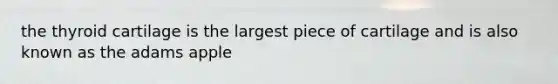 the thyroid cartilage is the largest piece of cartilage and is also known as the adams apple