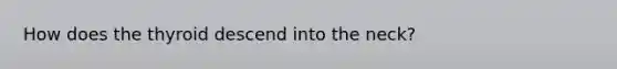 How does the thyroid descend into the neck?
