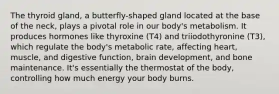 The thyroid gland, a butterfly-shaped gland located at the base of the neck, plays a pivotal role in our body's metabolism. It produces hormones like thyroxine (T4) and triiodothyronine (T3), which regulate the body's metabolic rate, affecting heart, muscle, and digestive function, brain development, and bone maintenance. It's essentially the thermostat of the body, controlling how much energy your body burns.