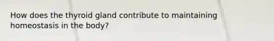 How does the thyroid gland contribute to maintaining homeostasis in the body?