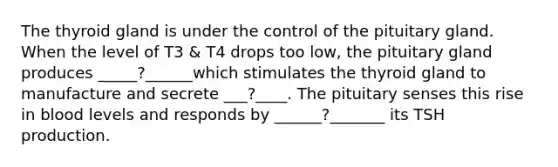 The thyroid gland is under the control of the pituitary gland. When the level of T3 & T4 drops too low, the pituitary gland produces _____?______which stimulates the thyroid gland to manufacture and secrete ___?____. The pituitary senses this rise in blood levels and responds by ______?_______ its TSH production.