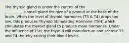 The thyroid gland is under the control of the ____________ _________, a small gland the size of a peanut at the base of the brain. When the level of thyroid hormones (T3 & T4) drops too low, this produces Thyroid Stimulating Hormone (TSH) which stimulates the thyroid gland to produce more hormones. Under the influence of TSH, the thyroid will manufacture and secrete T3 and T4 thereby raising their blood levels.