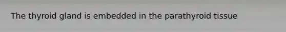 The thyroid gland is embedded in the parathyroid tissue