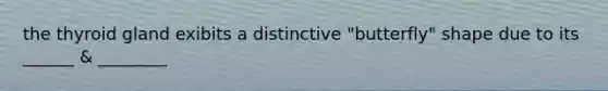 the thyroid gland exibits a distinctive "butterfly" shape due to its ______ & ________