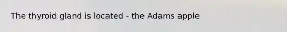 The thyroid gland is located - the Adams apple