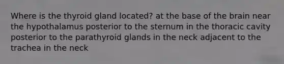 Where is the thyroid gland located? at the base of the brain near the hypothalamus posterior to the sternum in the thoracic cavity posterior to the parathyroid glands in the neck adjacent to the trachea in the neck