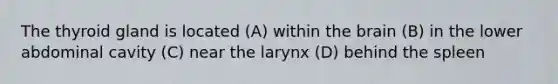 The thyroid gland is located (A) within the brain (B) in the lower abdominal cavity (C) near the larynx (D) behind the spleen