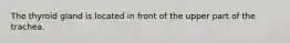The thyroid gland is located in front of the upper part of the trachea.