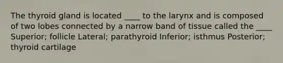 The thyroid gland is located ____ to the larynx and is composed of two lobes connected by a narrow band of tissue called the ____ Superior; follicle Lateral; parathyroid Inferior; isthmus Posterior; thyroid cartilage