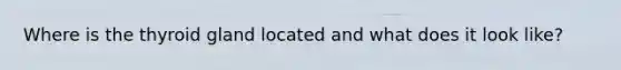 Where is the thyroid gland located and what does it look like?