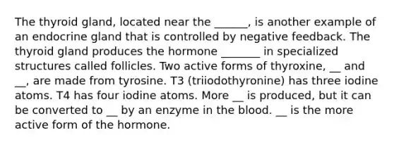 The thyroid gland, located near the ______, is another example of an endocrine gland that is controlled by negative feedback. The thyroid gland produces the hormone _______ in specialized structures called follicles. Two active forms of thyroxine, __ and __, are made from tyrosine. T3 (triiodothyronine) has three iodine atoms. T4 has four iodine atoms. More __ is produced, but it can be converted to __ by an enzyme in the blood. __ is the more active form of the hormone.