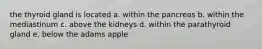 the thyroid gland is located a. within the pancreas b. within the mediastinum c. above the kidneys d. within the parathyroid gland e. below the adams apple