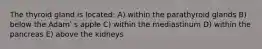 The thyroid gland is located: A) within the parathyroid glands B) below the Adamʹ s apple C) within the mediastinum D) within the pancreas E) above the kidneys