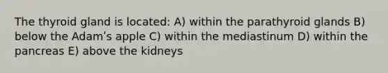 The thyroid gland is located: A) within the parathyroid glands B) below the Adamʹs apple C) within the mediastinum D) within the pancreas E) above the kidneys
