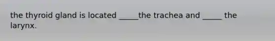 the thyroid gland is located _____the trachea and _____ the larynx.