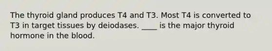 The thyroid gland produces T4 and T3. Most T4 is converted to T3 in target tissues by deiodases. ____ is the major thyroid hormone in the blood.