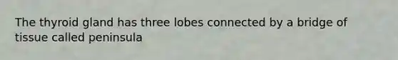 The thyroid gland has three lobes connected by a bridge of tissue called peninsula