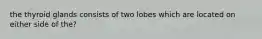 the thyroid glands consists of two lobes which are located on either side of the?