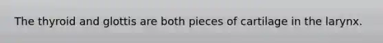The thyroid and glottis are both pieces of cartilage in the larynx.
