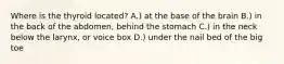 Where is the thyroid located? A.) at the base of the brain B.) in the back of the abdomen, behind the stomach C.) in the neck below the larynx, or voice box D.) under the nail bed of the big toe