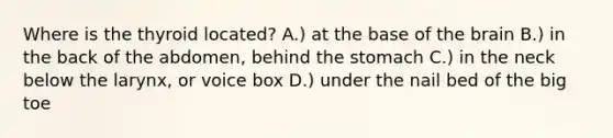 Where is the thyroid located? A.) at the base of the brain B.) in the back of the abdomen, behind the stomach C.) in the neck below the larynx, or voice box D.) under the nail bed of the big toe