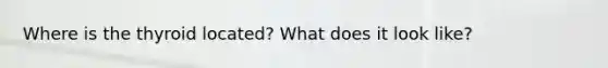 Where is the thyroid located? What does it look like?