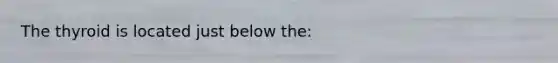 The thyroid is located just below the: