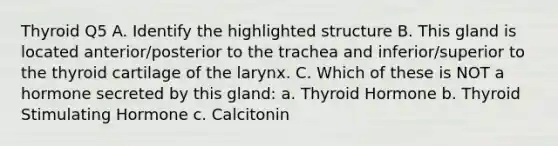 Thyroid Q5 A. Identify the highlighted structure B. This gland is located anterior/posterior to the trachea and inferior/superior to the thyroid cartilage of the larynx. C. Which of these is NOT a hormone secreted by this gland: a. Thyroid Hormone b. Thyroid Stimulating Hormone c. Calcitonin