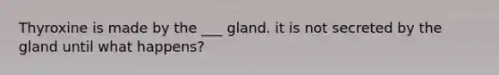 Thyroxine is made by the ___ gland. it is not secreted by the gland until what happens?