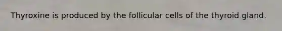 Thyroxine is produced by the follicular cells of the thyroid gland.