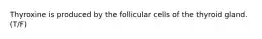 Thyroxine is produced by the follicular cells of the thyroid gland. (T/F)