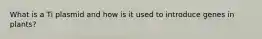 What is a Ti plasmid and how is it used to introduce genes in plants?