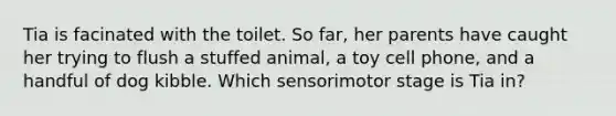 Tia is facinated with the toilet. So far, her parents have caught her trying to flush a stuffed animal, a toy cell phone, and a handful of dog kibble. Which sensorimotor stage is Tia in?