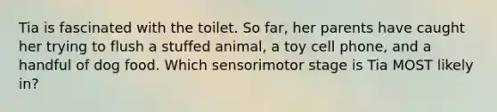 Tia is fascinated with the toilet. So far, her parents have caught her trying to flush a stuffed animal, a toy cell phone, and a handful of dog food. Which sensorimotor stage is Tia MOST likely in?