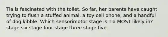 Tia is fascinated with the toilet. So far, her parents have caught trying to flush a stuffed animal, a toy cell phone, and a handful of dog kibble. Which sensorimotor stage is Tia MOST likely in? stage six stage four stage three stage five