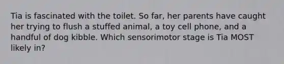 Tia is fascinated with the toilet. So far, her parents have caught her trying to flush a stuffed animal, a toy cell phone, and a handful of dog kibble. Which sensorimotor stage is Tia MOST likely in?