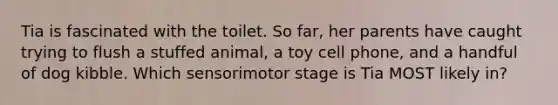 Tia is fascinated with the toilet. So far, her parents have caught trying to flush a stuffed animal, a toy cell phone, and a handful of dog kibble. Which sensorimotor stage is Tia MOST likely in?