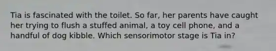 Tia is fascinated with the toilet. So far, her parents have caught her trying to flush a stuffed animal, a toy cell phone, and a handful of dog kibble. Which sensorimotor stage is Tia in?