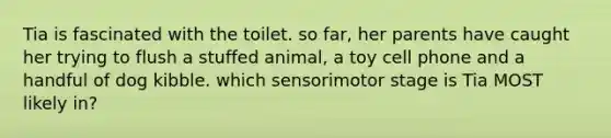 Tia is fascinated with the toilet. so far, her parents have caught her trying to flush a stuffed animal, a toy cell phone and a handful of dog kibble. which sensorimotor stage is Tia MOST likely in?