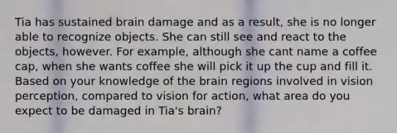 Tia has sustained brain damage and as a result, she is no longer able to recognize objects. She can still see and react to the objects, however. For example, although she cant name a coffee cap, when she wants coffee she will pick it up the cup and fill it. Based on your knowledge of the brain regions involved in vision perception, compared to vision for action, what area do you expect to be damaged in Tia's brain?