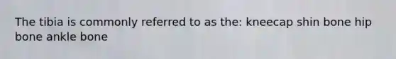 The tibia is commonly referred to as the: kneecap shin bone hip bone ankle bone