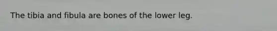 The tibia and fibula are bones of the lower leg.