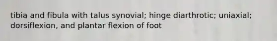 tibia and fibula with talus synovial; hinge diarthrotic; uniaxial; dorsiflexion, and plantar flexion of foot