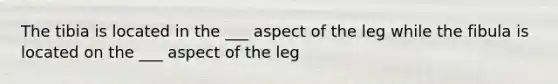 The tibia is located in the ___ aspect of the leg while the fibula is located on the ___ aspect of the leg