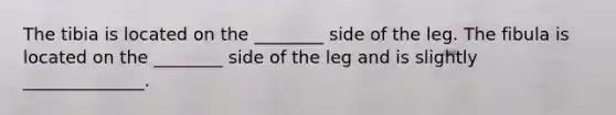 The tibia is located on the ________ side of the leg. The fibula is located on the ________ side of the leg and is slightly ______________.