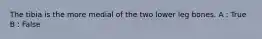 The tibia is the more medial of the two lower leg bones. A : True B : False