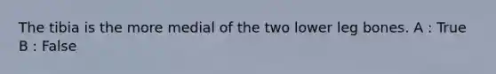 The tibia is the more medial of the two lower leg bones. A : True B : False