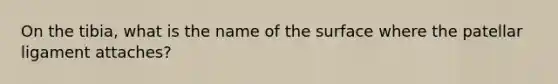 On the tibia, what is the name of the surface where the patellar ligament attaches?