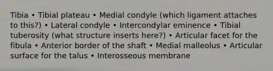 Tibia • Tibial plateau • Medial condyle (which ligament attaches to this?) • Lateral condyle • Intercondylar eminence • Tibial tuberosity (what structure inserts here?) • Articular facet for the fibula • Anterior border of the shaft • Medial malleolus • Articular surface for the talus • Interosseous membrane